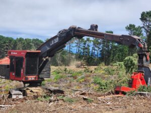 Timbco Feller Buncher and Tigercat