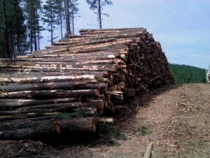 T1 Log Dump