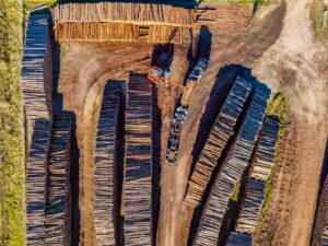 Export Yard